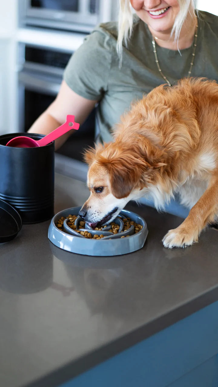 Messy Mutts Interactive Slow Feeder