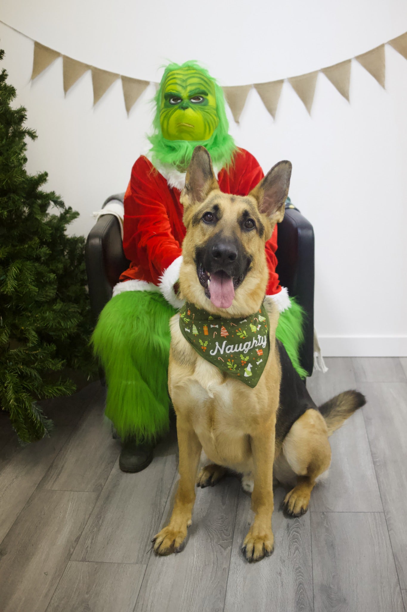 Grinch Photo