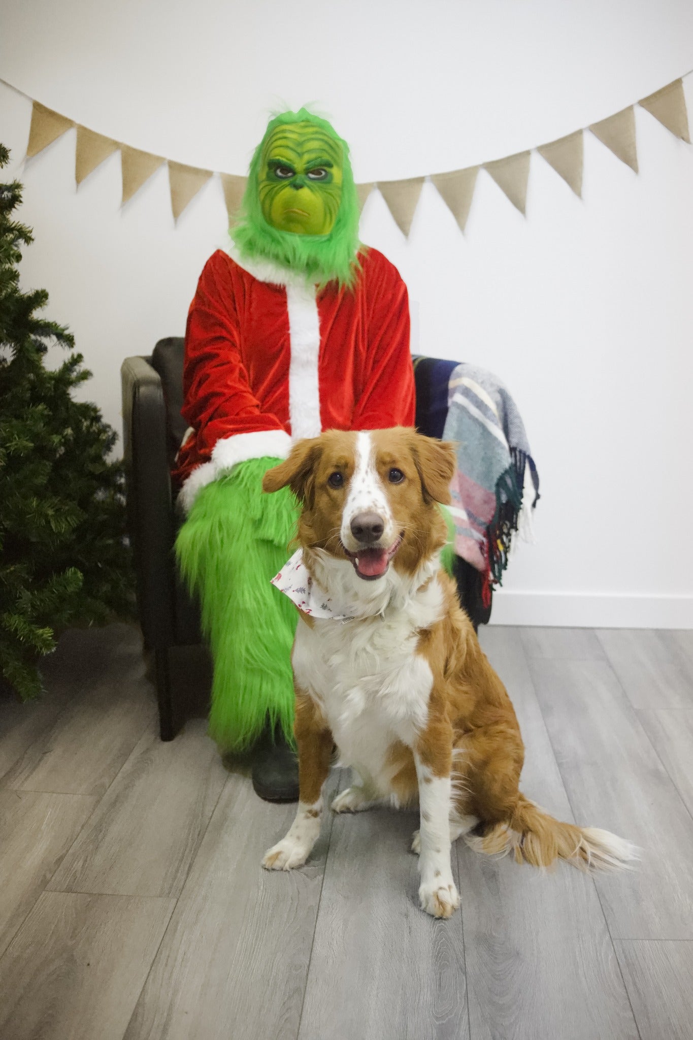Grinch Photo
