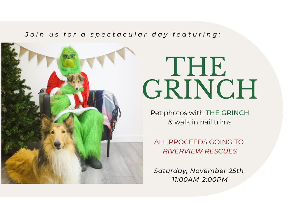 Grinch Photo