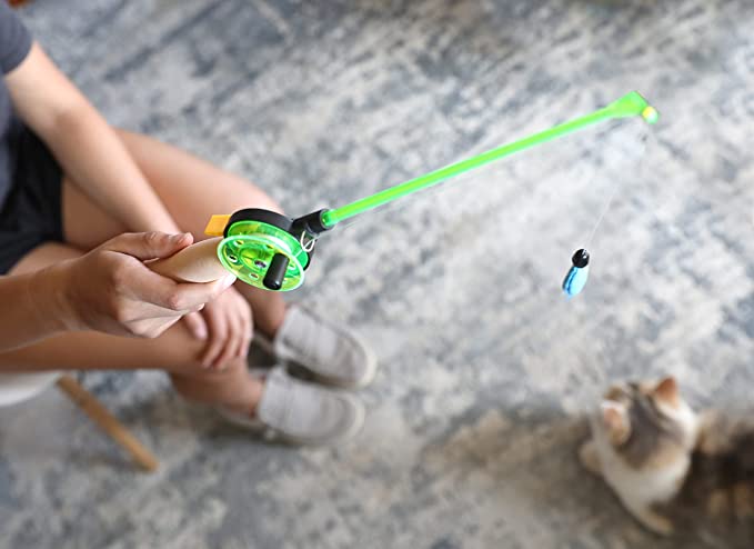 Fishing Rod Cat Toy
