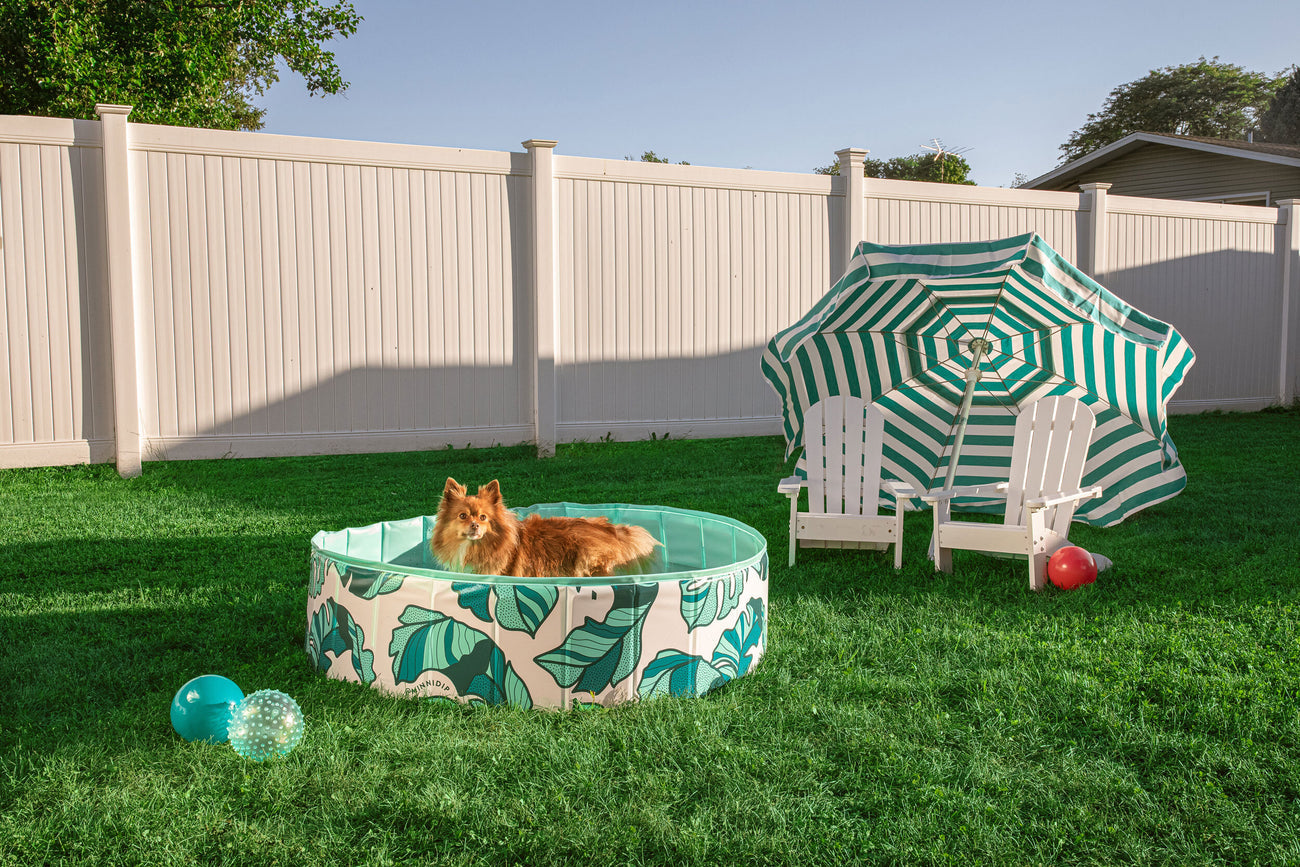 PUP-DIP Dog Pool