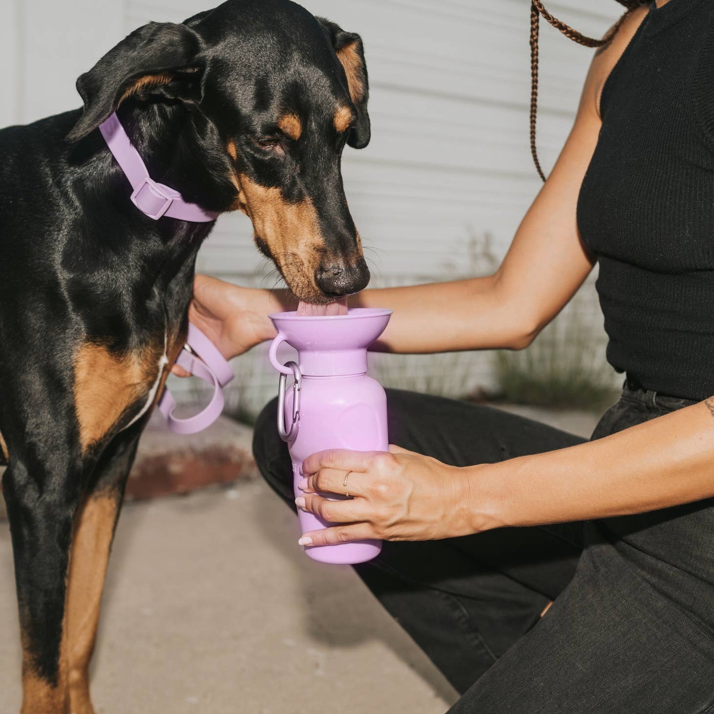 Pet Water Bottler- Poppy