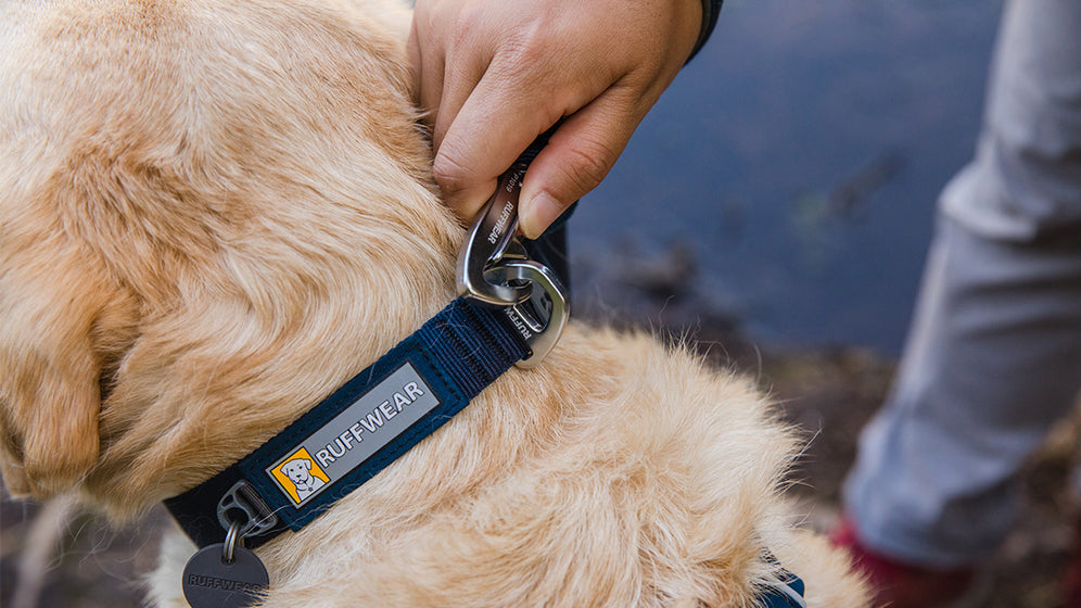 Front Range Collar- Blue Moon