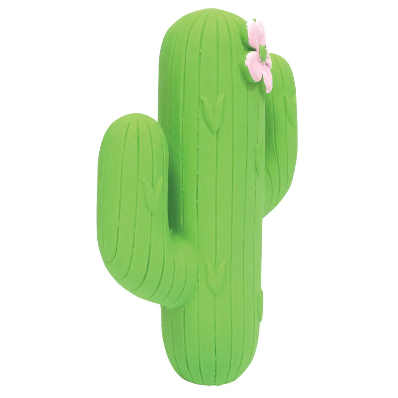 Fiesta Chew Cactus