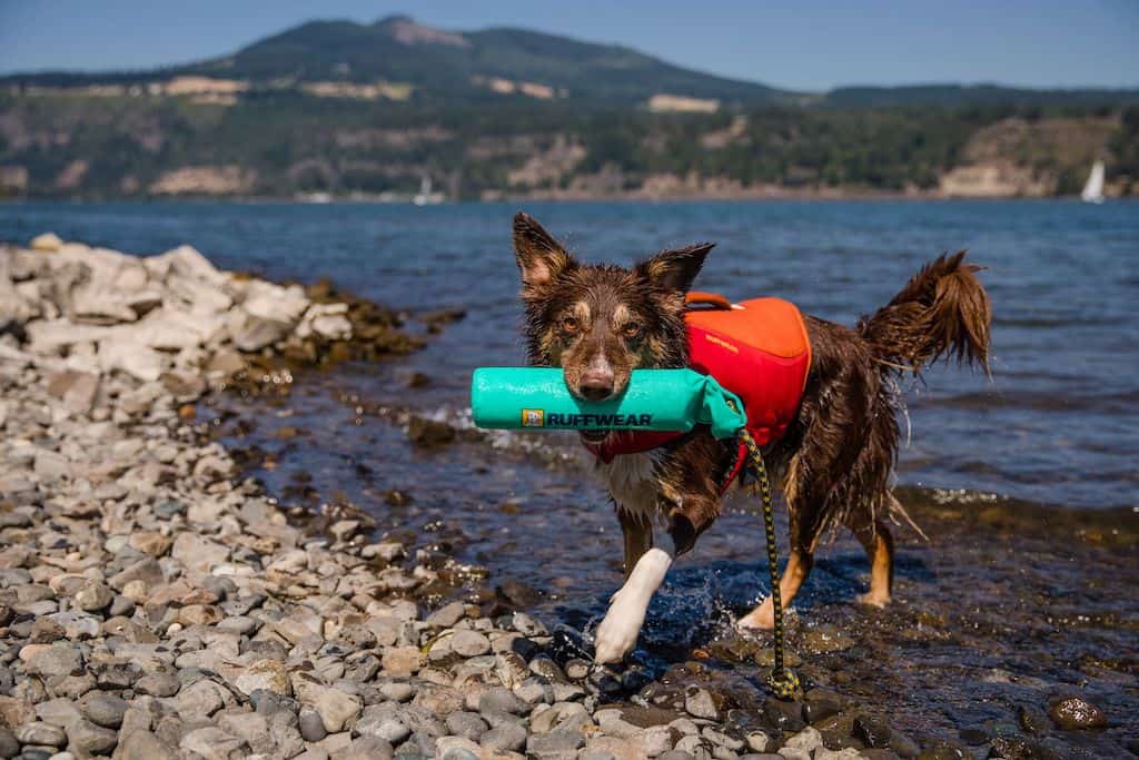 Lunker Toy