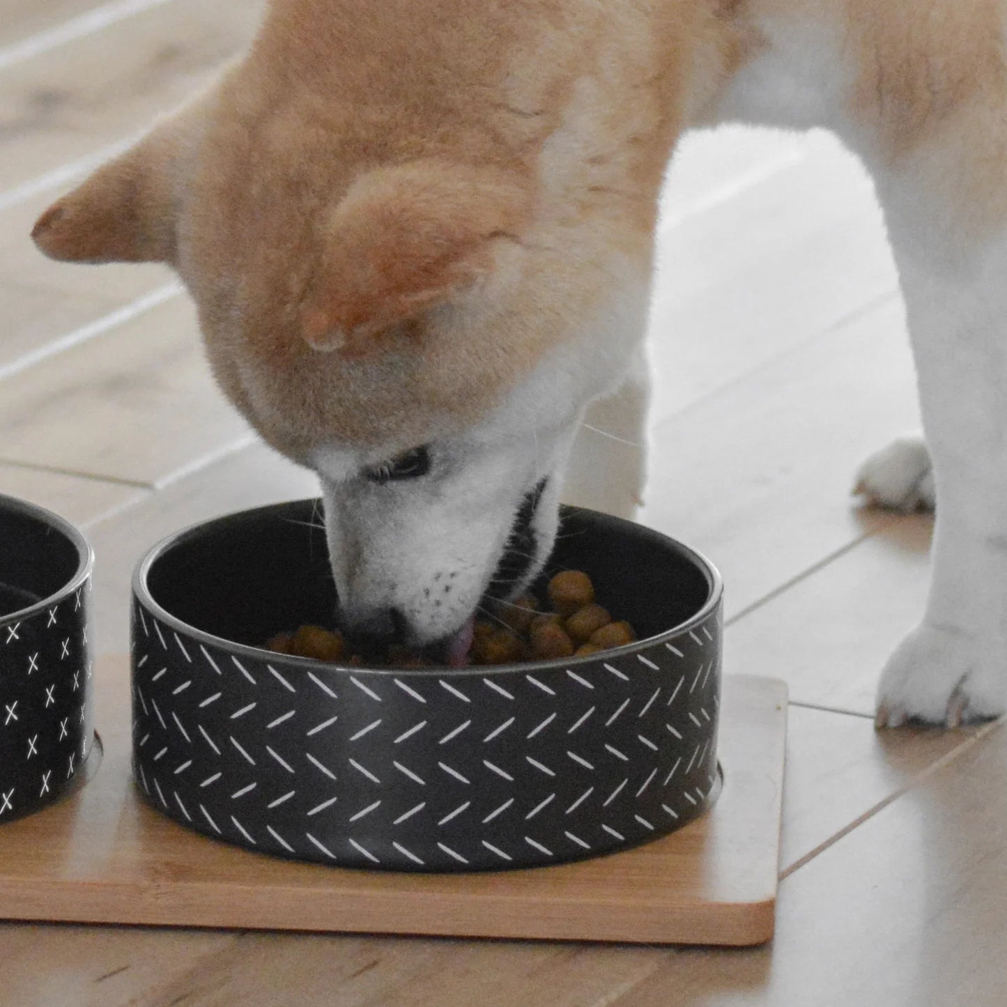 Be One Breed Bamboo and Ceramic Bowls