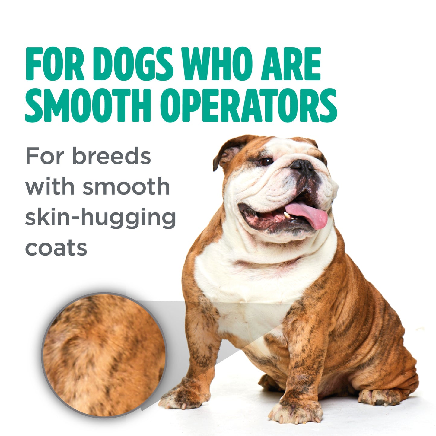 Tropiclean Perfect Fur Smooth Coat Shampoo