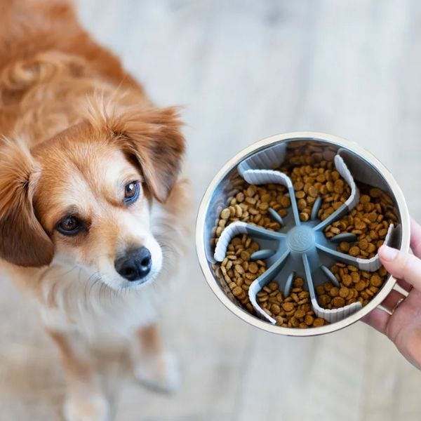 Messy Mutts Universal Slow Feeder Insert