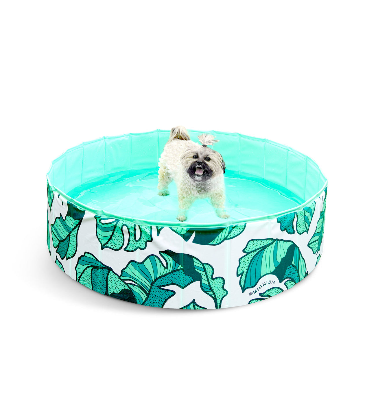 PUP-DIP Dog Pool
