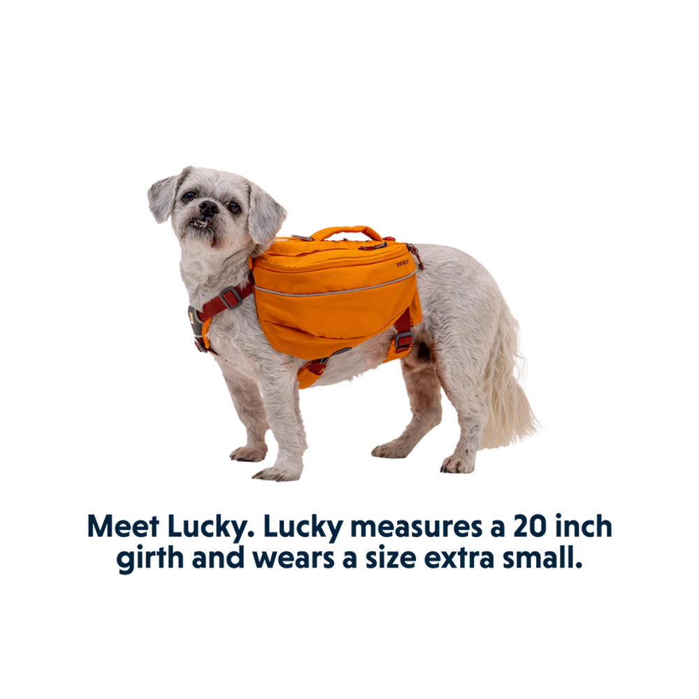 Ruffwear Approach Dog Pack