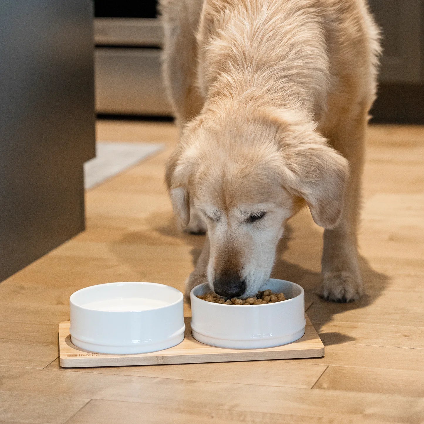 Be One Breed Bamboo and Ceramic Bowls