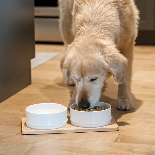 Be One Breed Bamboo and Ceramic Bowls