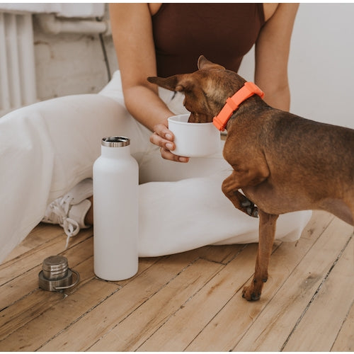 Dog & Me Water Bottle