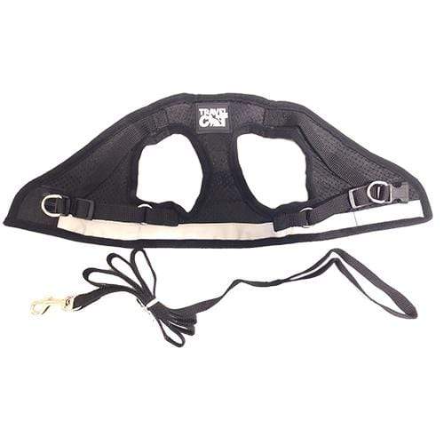 Reflective Cat & Kitten Harness & Leash Set
