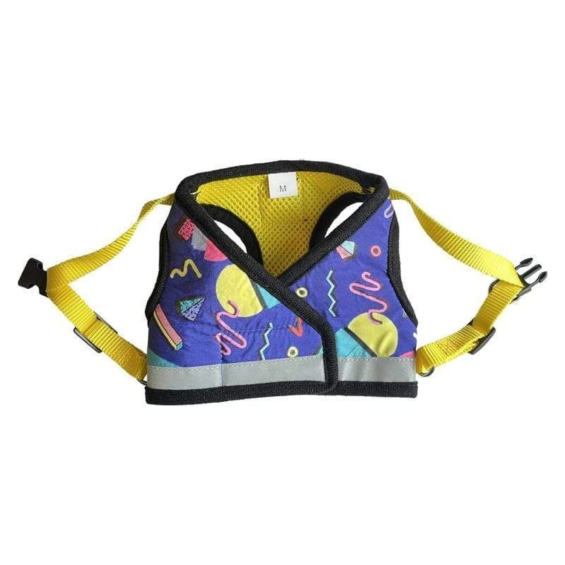 Limited Edition 90's Cat & Kitten Harness & Leash Set