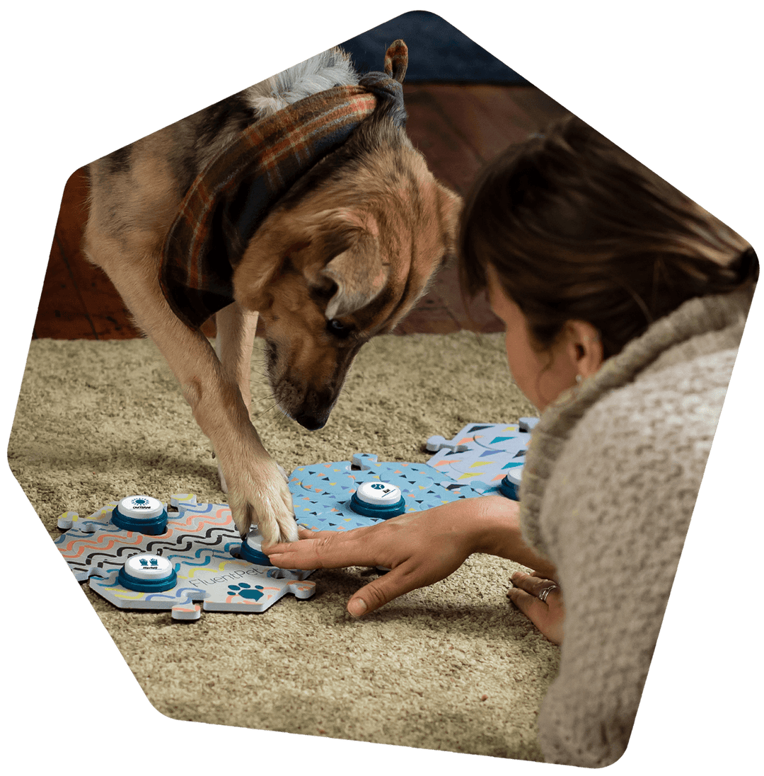 Fluent Pet Sound Button