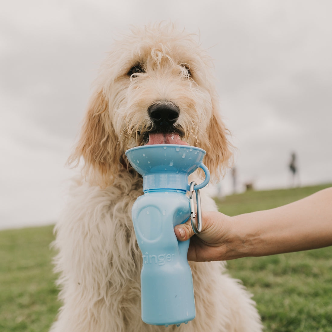 Pet Water Bottler- Sky Blue