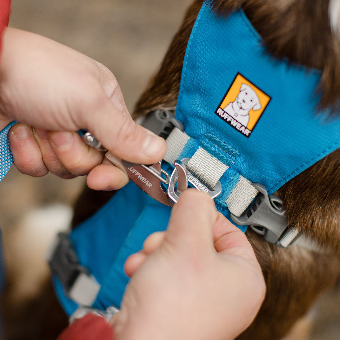 Ruffwear Flagline Harness- Dusk Blue