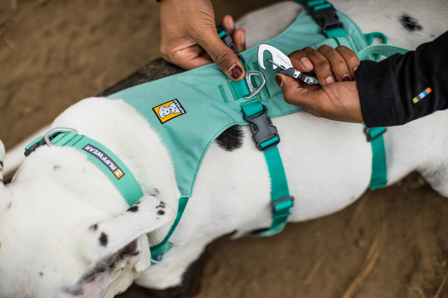 Ruffwear Flagline Harness- Sage Green