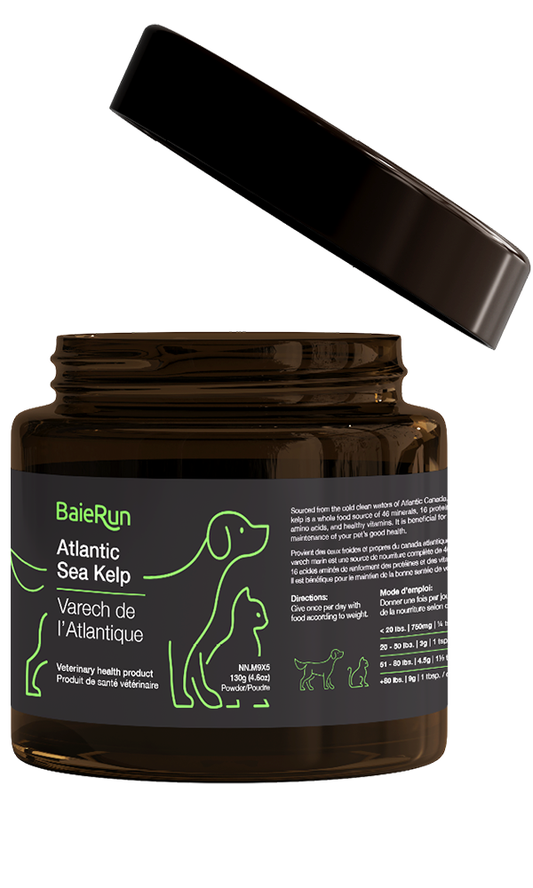 Baie Run Atlantic Sea Kelp 130g