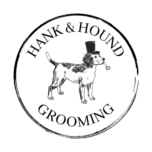 Puppy / Introduction to Grooming