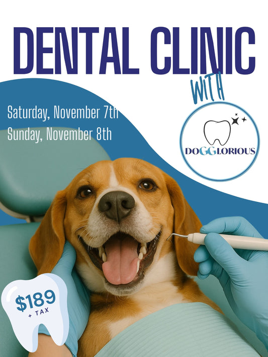 Deposit & Booking for Cosmetic Teeth Cleaning by DOGGLORIOUS