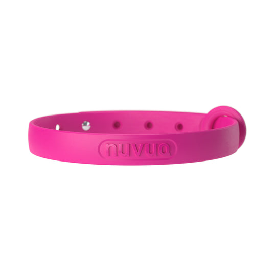 Nuvuq Cat Collar With Break Away Button