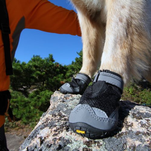 Grip Trex Dog Boots-Black