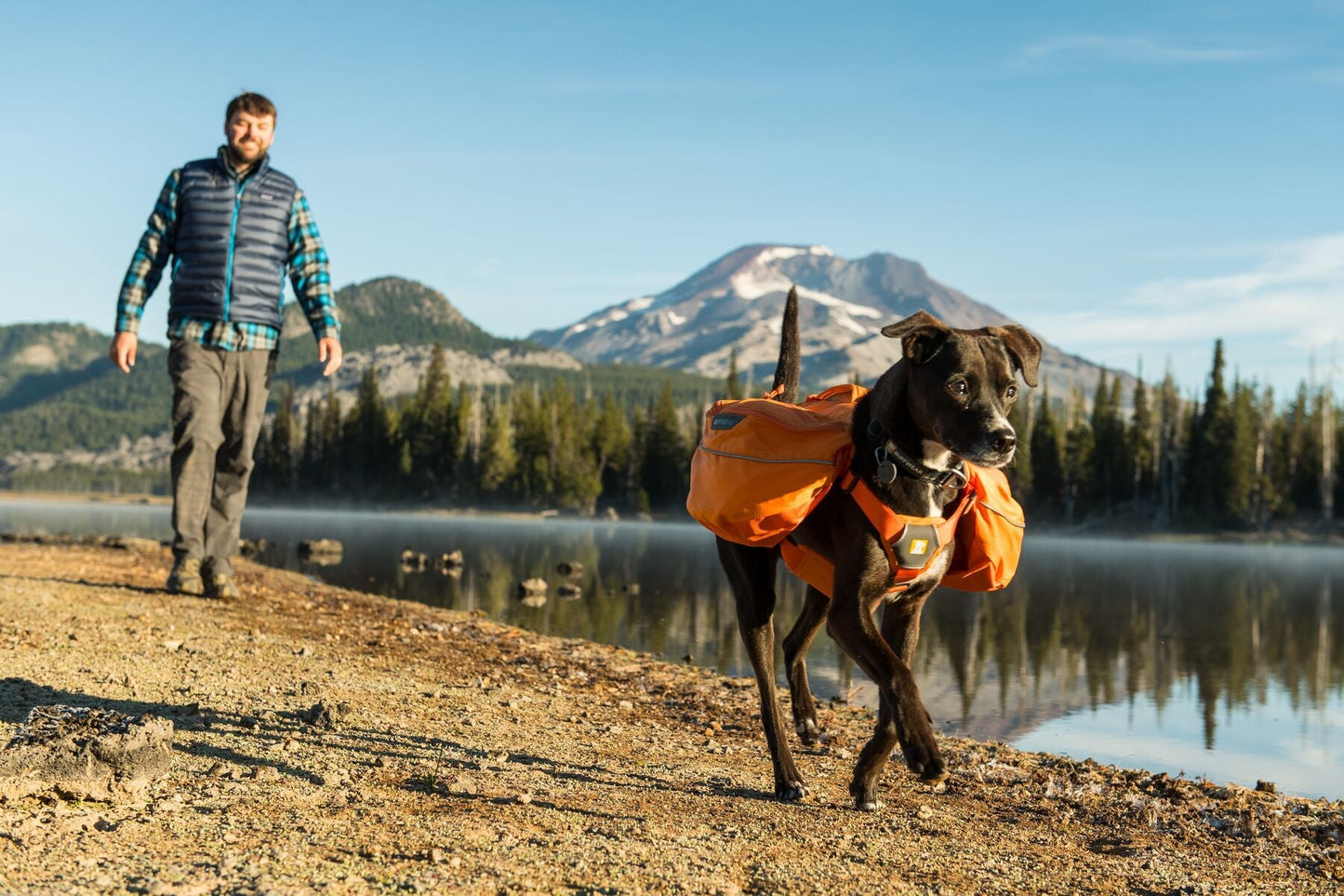 Ruffwear Approach Dog Pack