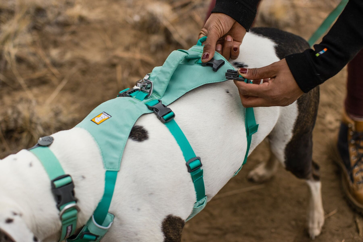 Ruffwear Flagline Harness- Sage Green