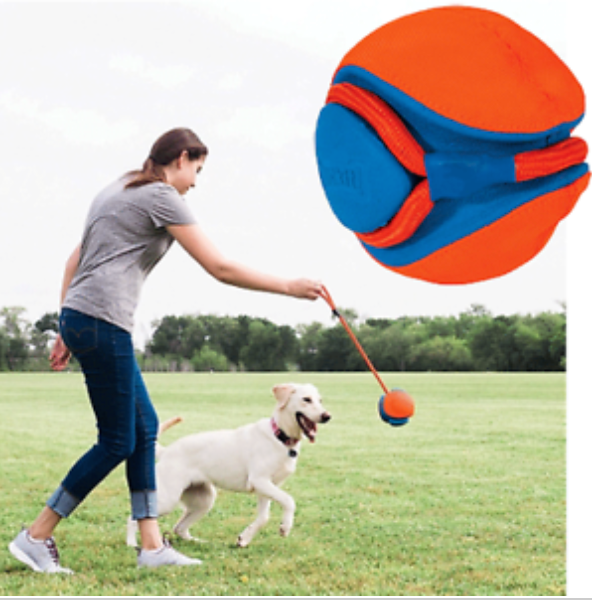 Chuckit! Rope Fetch Ball