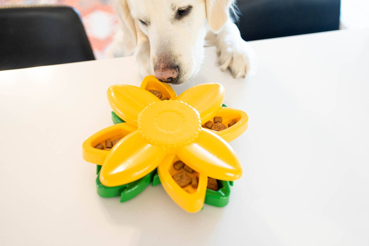 Smarty Paws Puzzler- Sunflower