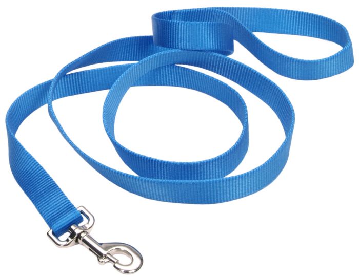 Coastal Single Ply Nylon Leash