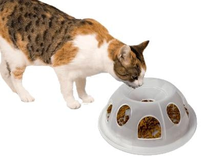 Tiger Diner Food Dish For Cat