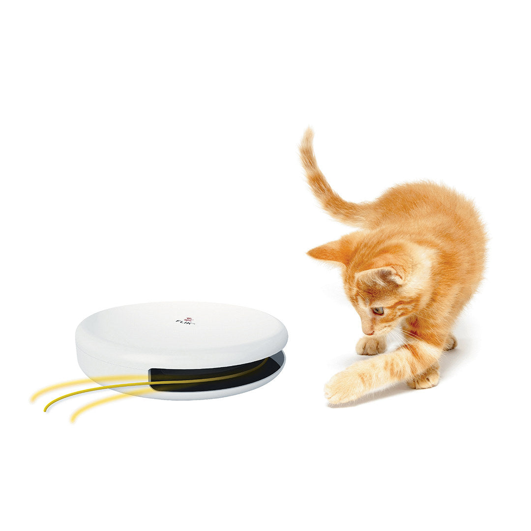 Flik Interactive Cat Toy