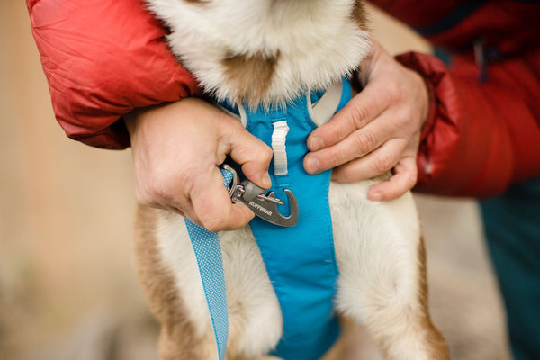 Ruffwear Flagline Harness- Sage Green