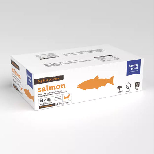 Healthy Paws Big Box Dinner Salmon