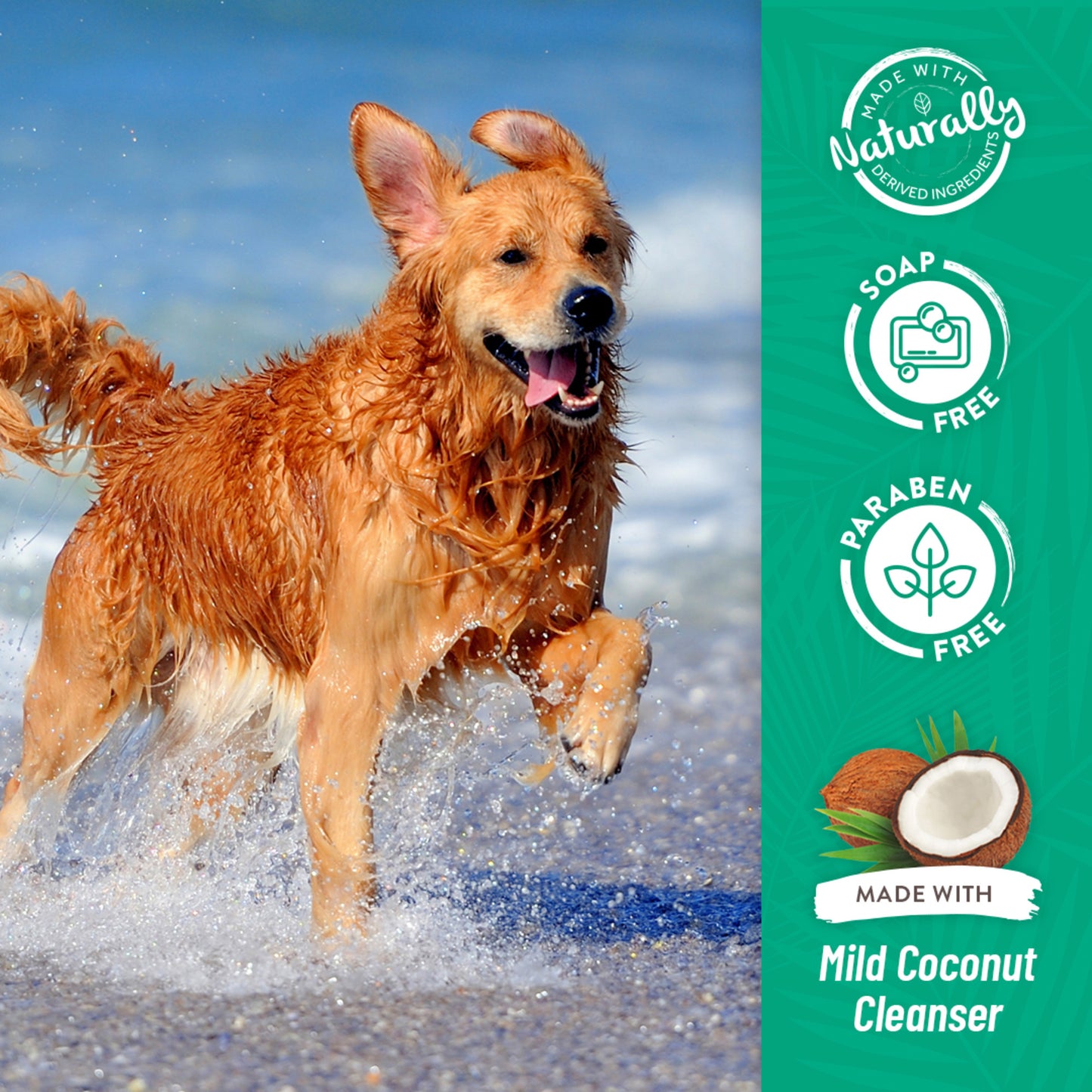 Tropiclean Puppy & Kitten Gentle Coconut Hypoallergenic Shampoo