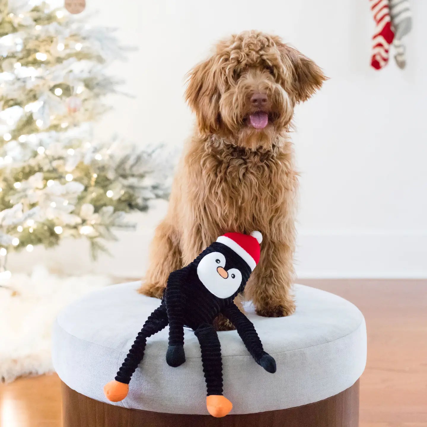 Holiday Crinkle - Penguin - Small - Christmas Dog Toy