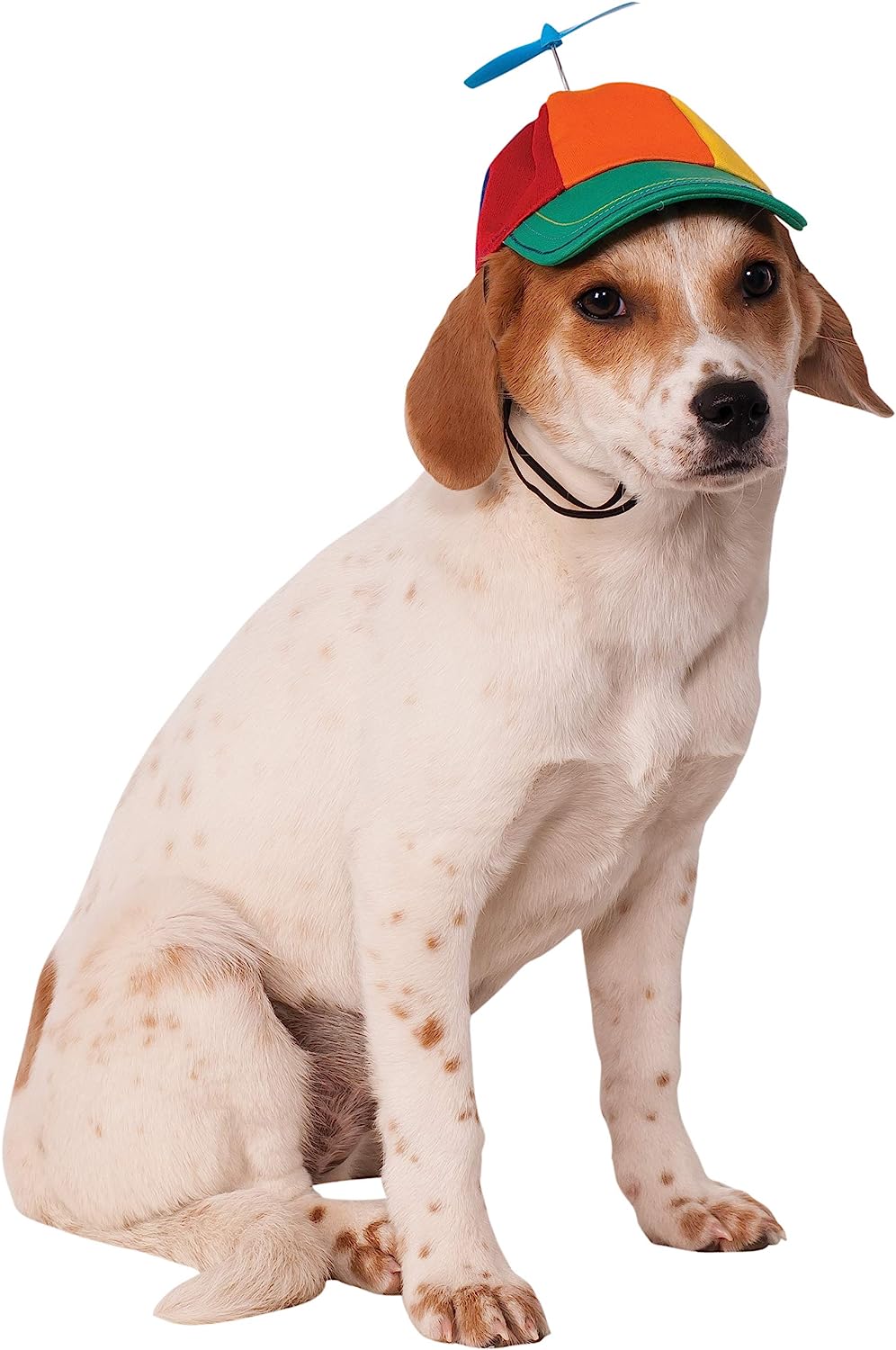 Rubies Costume Co Propeller Hat for Pets, Small/Medium