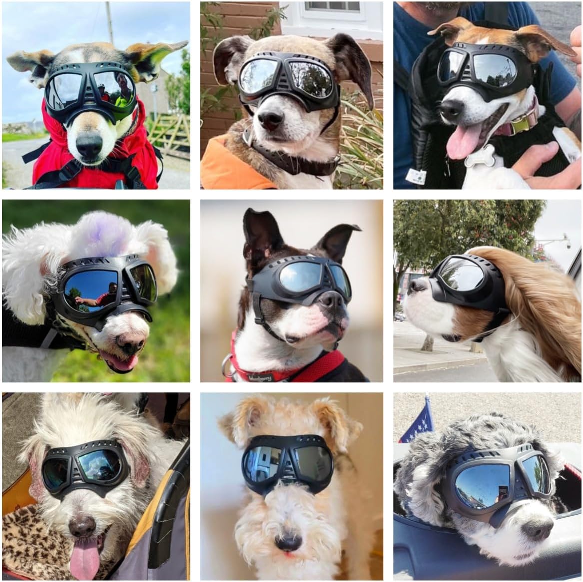 Namsan Sunglasses Small-Medium UV Doggy Windproof Snowproof Soft Frame Glasses for Long Snout Dogs, Silver Lens