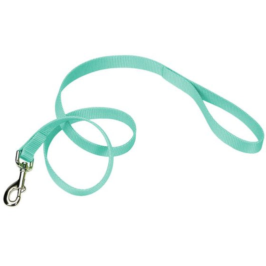 Coastal Single Ply Nylon Leash