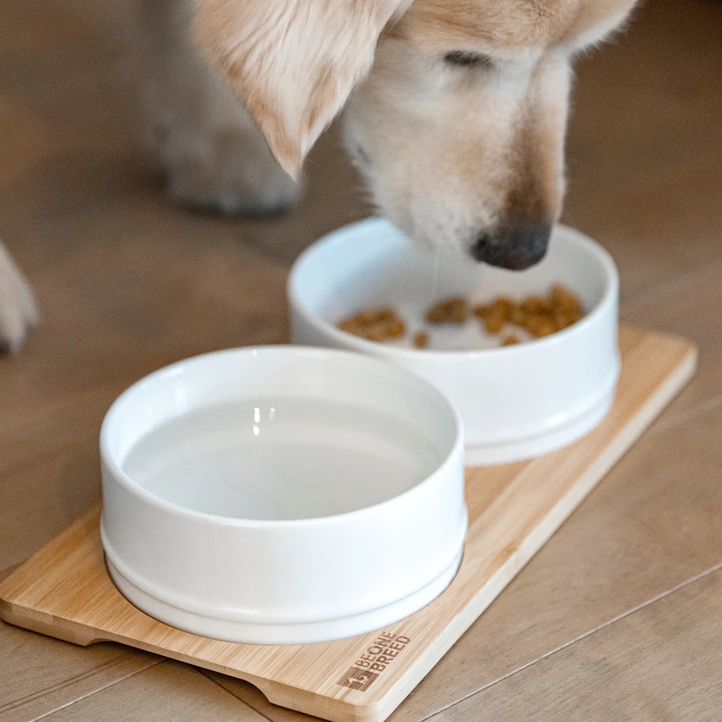 Be One Breed Bamboo and Ceramic Bowls