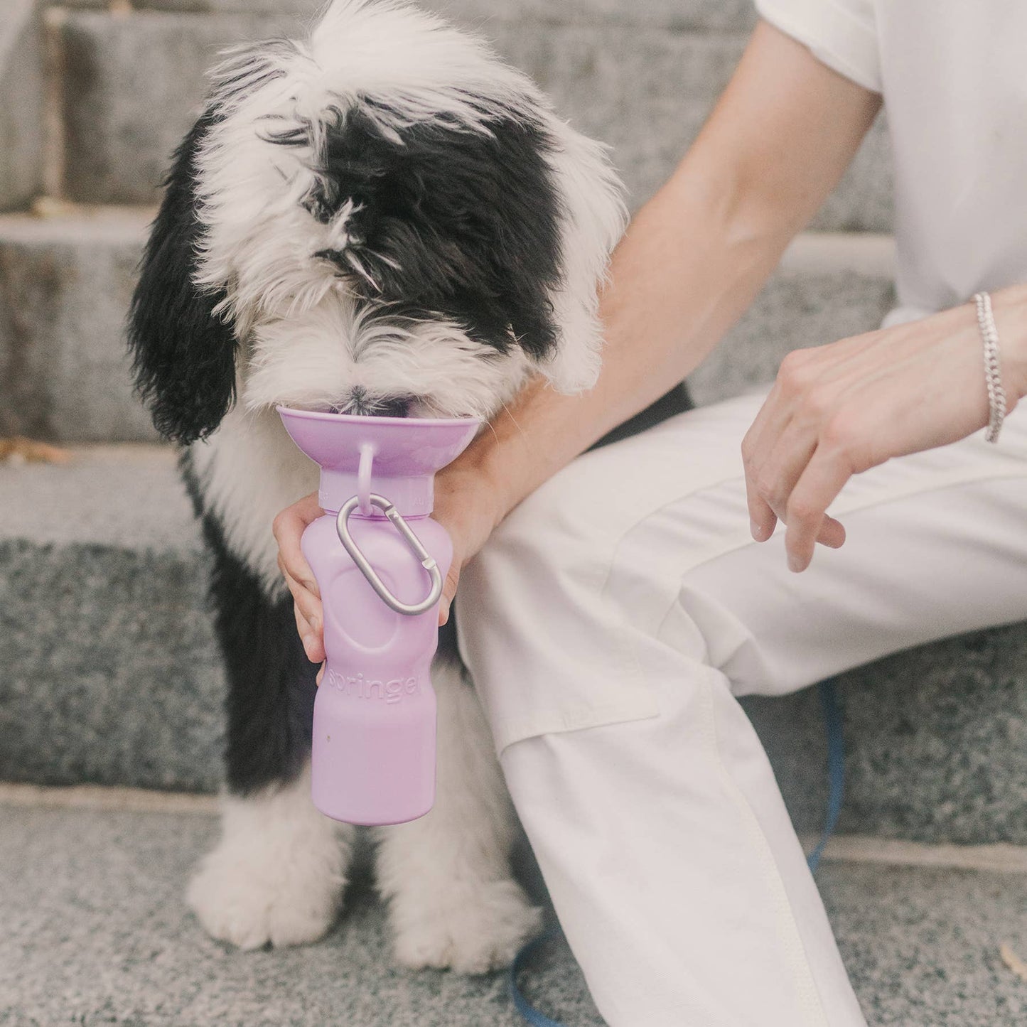 Pet Water Bottler- Lilac