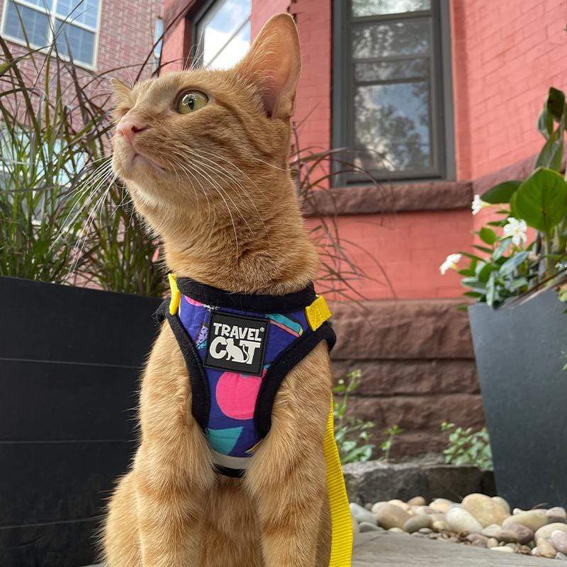 Limited Edition 90's Cat & Kitten Harness & Leash Set