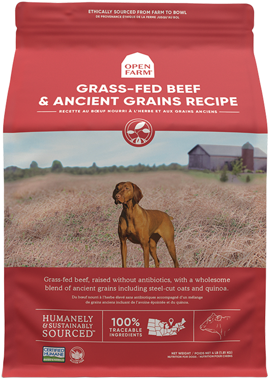 OPEN FARM Dry Dog-Beef & Ancient Grain Recipe