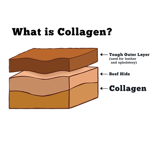 Collagen Stick