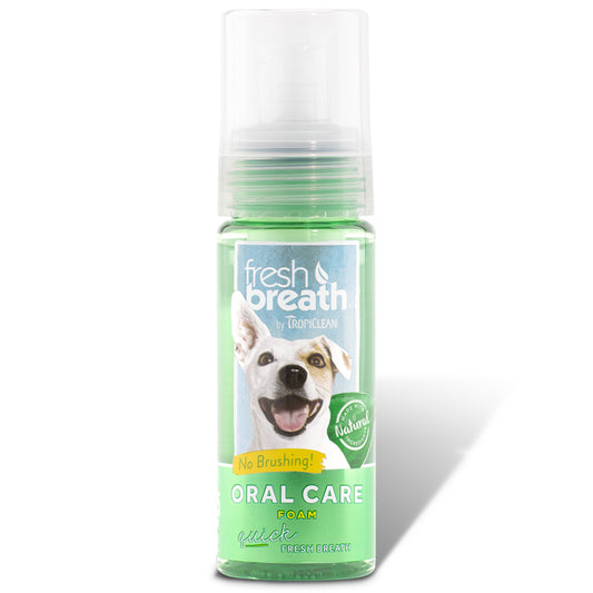 Fresh Breath Oral Care Foam